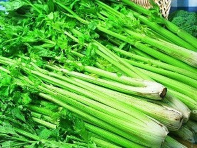 芹菜食用有助於白癜風治療