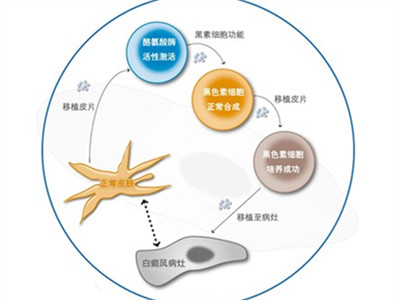 7種食物有助於皮膚修復 幫你夏日防曬