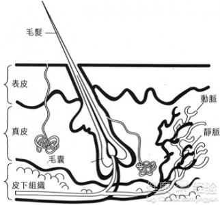 第1步