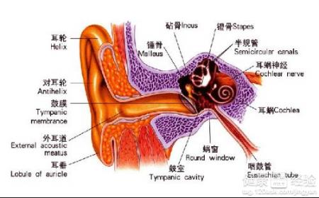 口唇疱疹口唇帶狀疱疹注意事項