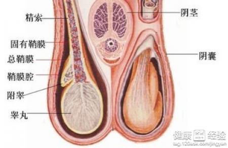 第2步