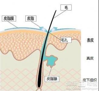 第1步