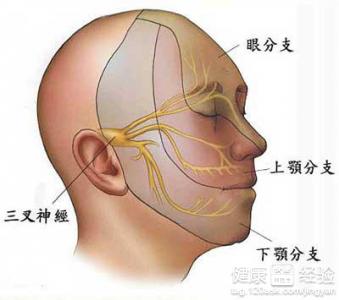 神經性皮炎摸著粗糙嗎